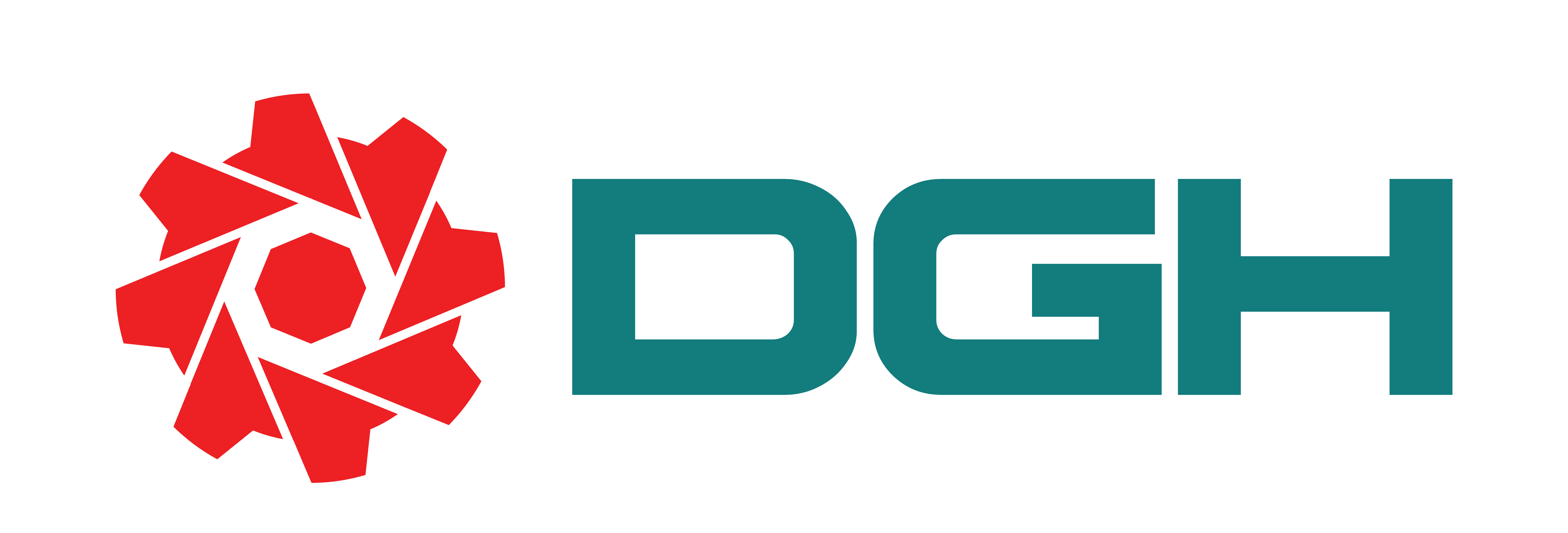 DGH Engineering logo